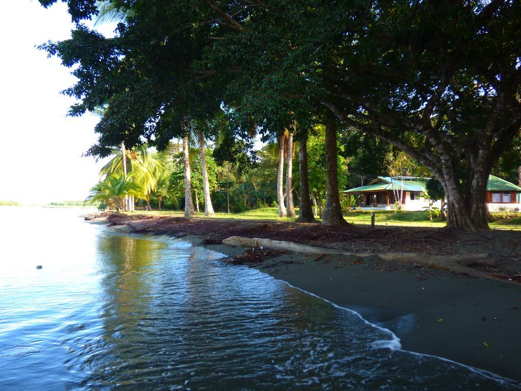 Puerto Jiménez Corcovado Beach Lodge מראה חיצוני תמונה