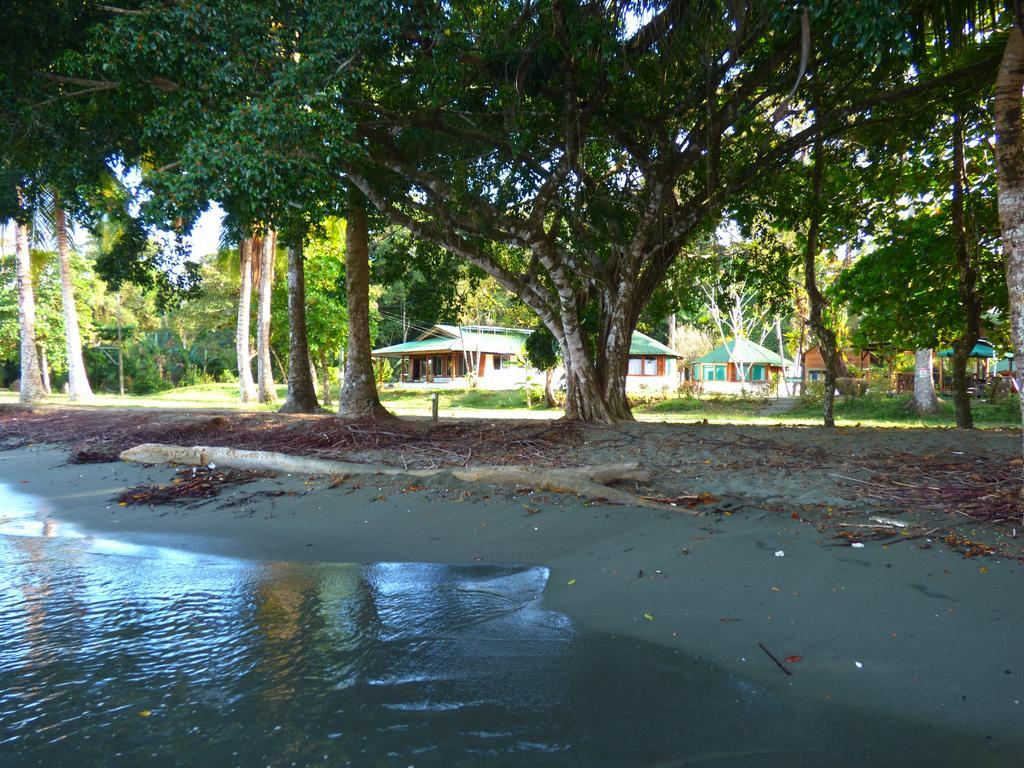 Puerto Jiménez Corcovado Beach Lodge מראה חיצוני תמונה