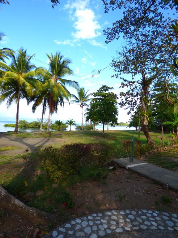 Puerto Jiménez Corcovado Beach Lodge מראה חיצוני תמונה