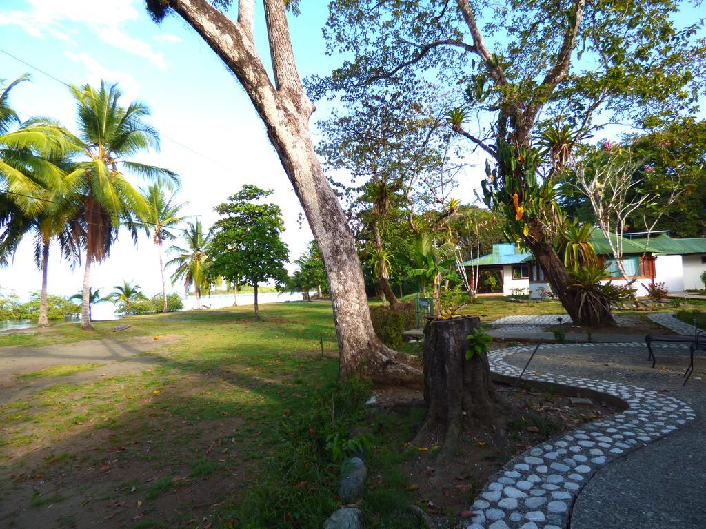 Puerto Jiménez Corcovado Beach Lodge מראה חיצוני תמונה