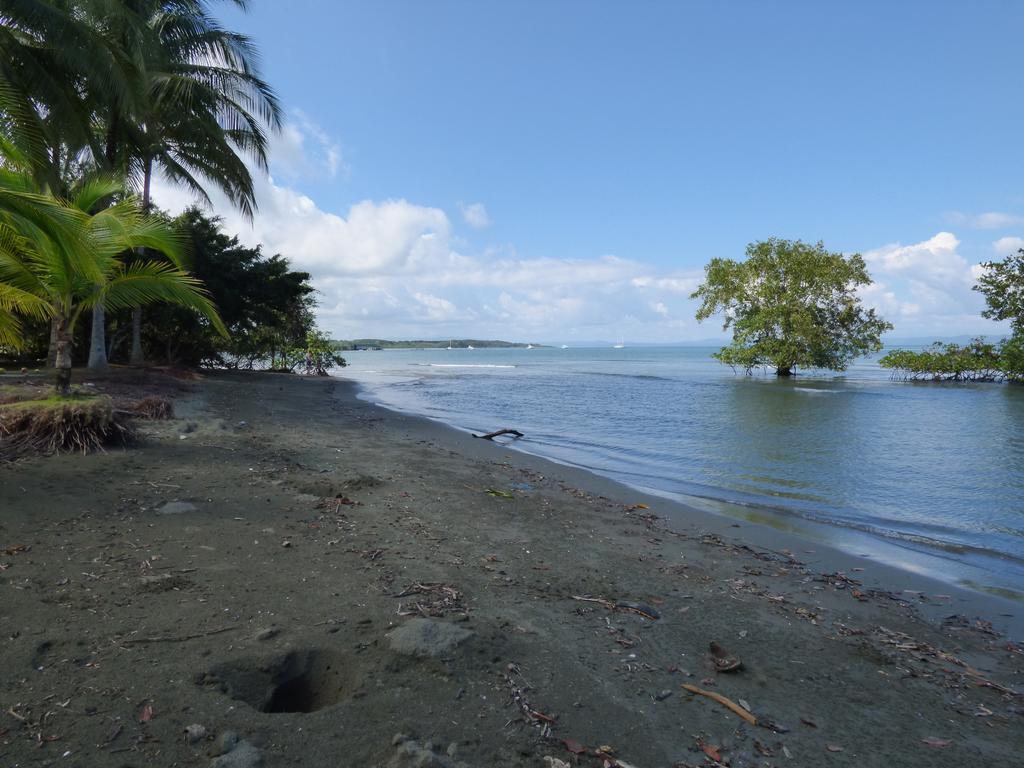 Puerto Jiménez Corcovado Beach Lodge מראה חיצוני תמונה