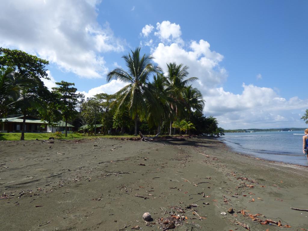 Puerto Jiménez Corcovado Beach Lodge מראה חיצוני תמונה