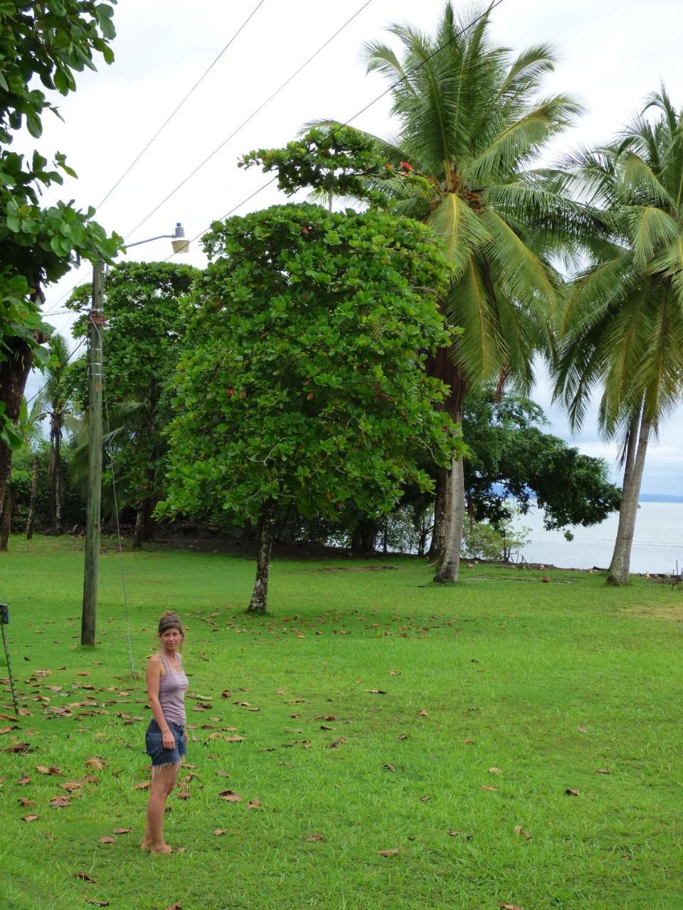 Puerto Jiménez Corcovado Beach Lodge מראה חיצוני תמונה